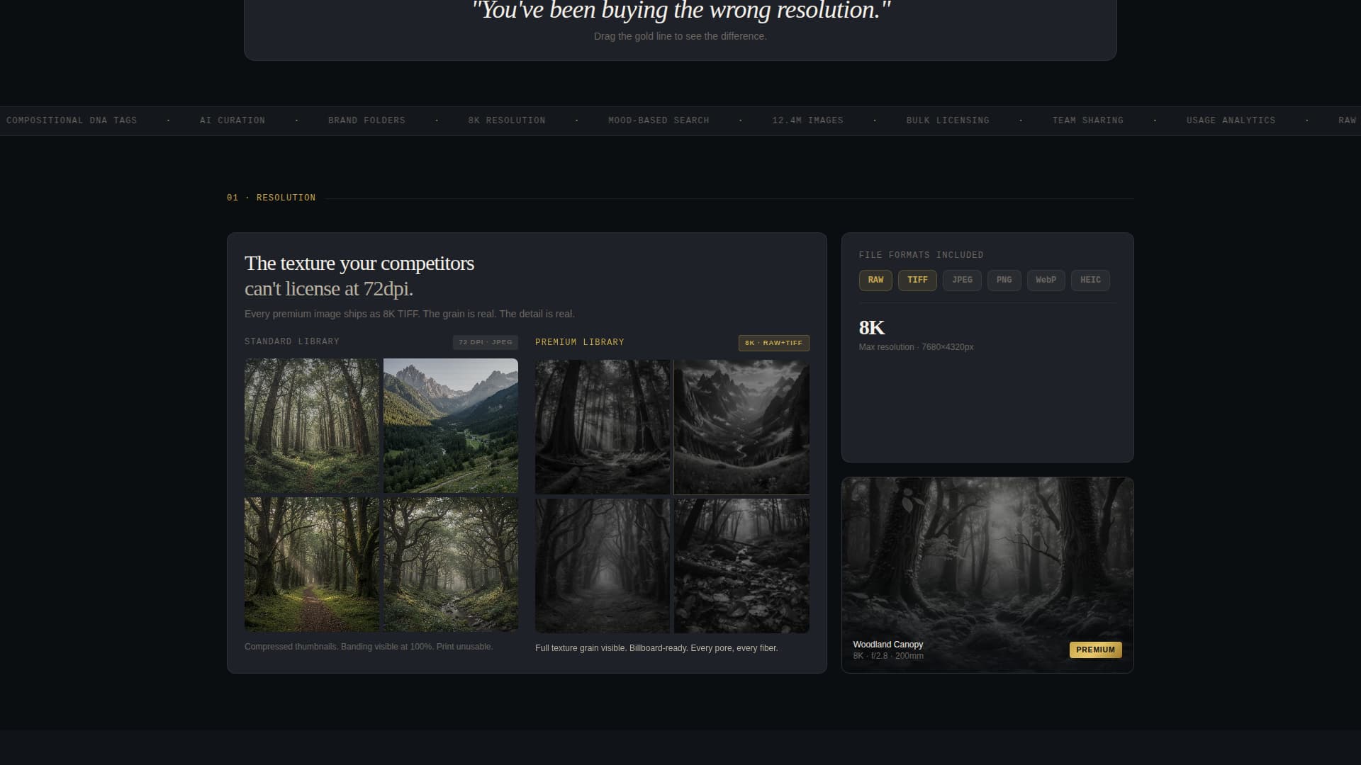Shutter - Premium Photography Landing Page Template