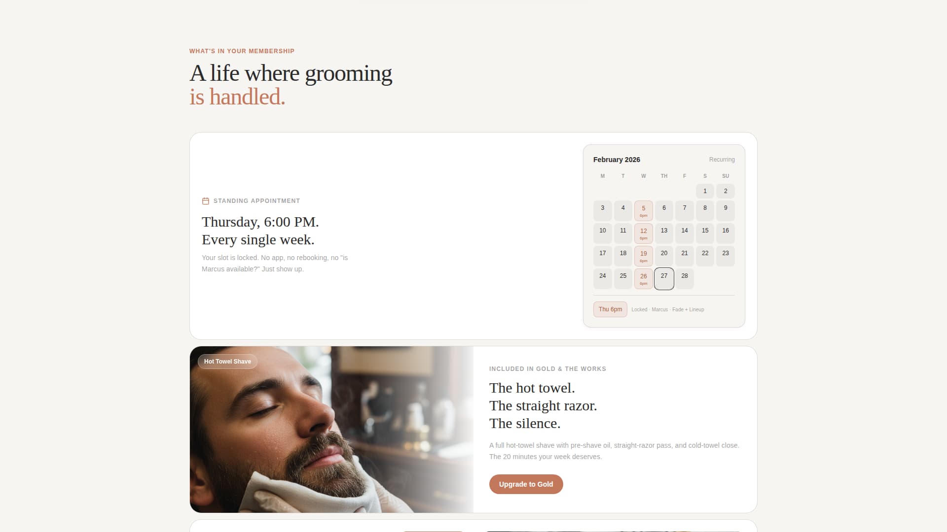 Subscription-Based Business Specialist Booking Website Template
