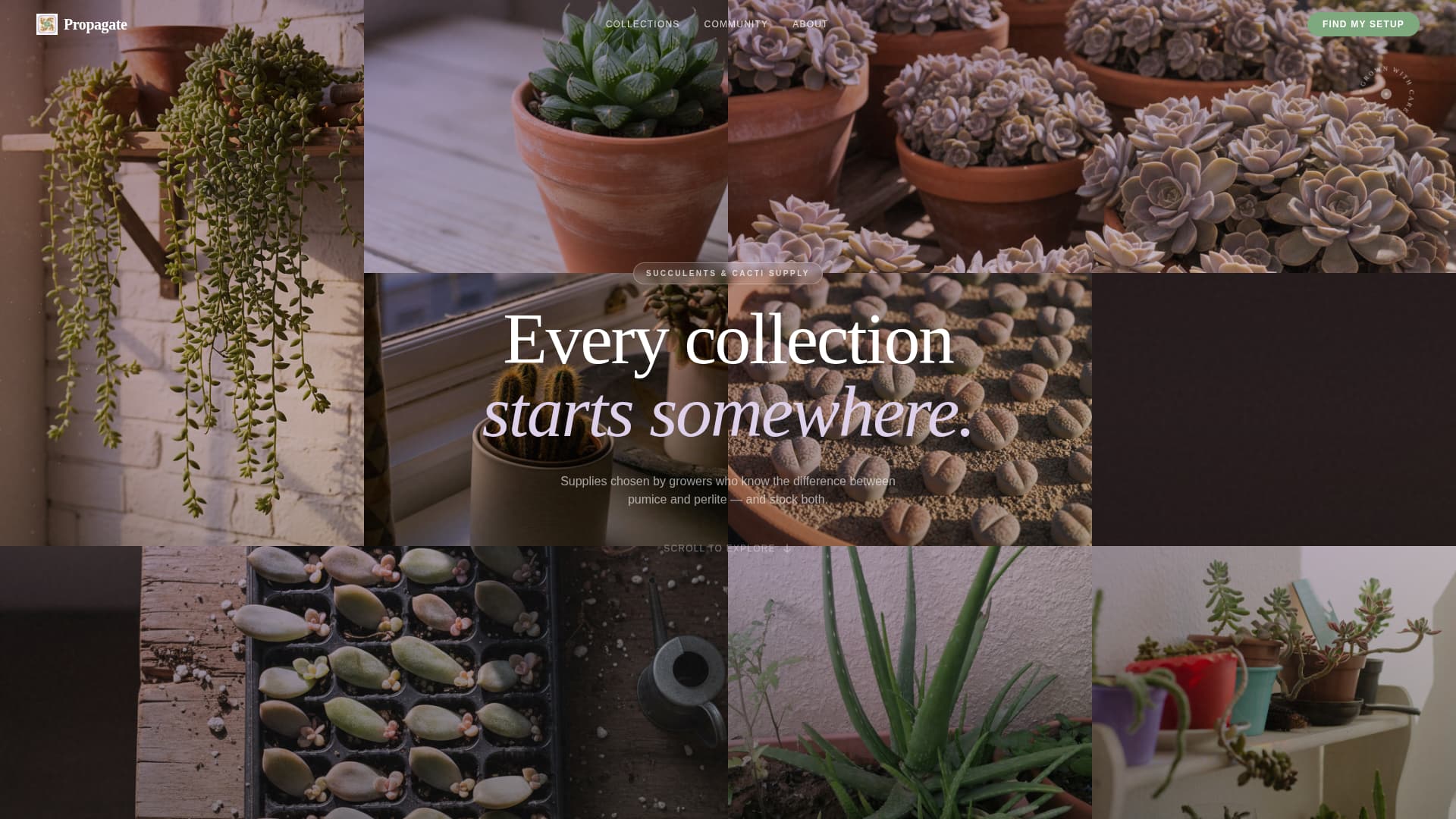 Propagate - Enchanting Succulent Landing Page Template