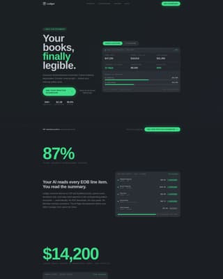 Ledger - Precision Optometry Landing Page Template