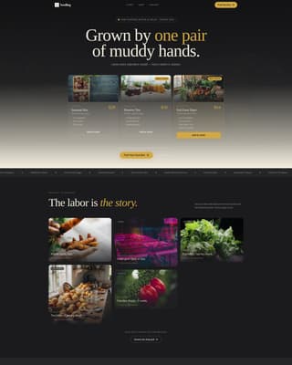 Seedling - Artisan Farmtodoor Landing Page Template