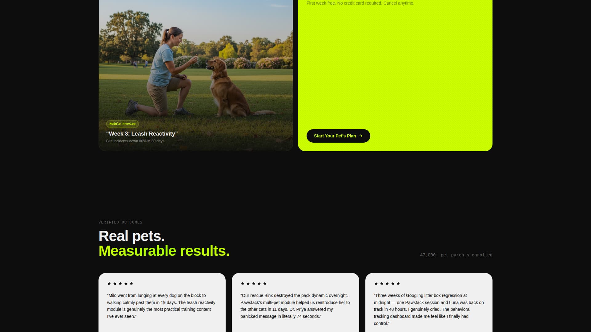 Pawstack - Confident Pettraining Landing Page Template