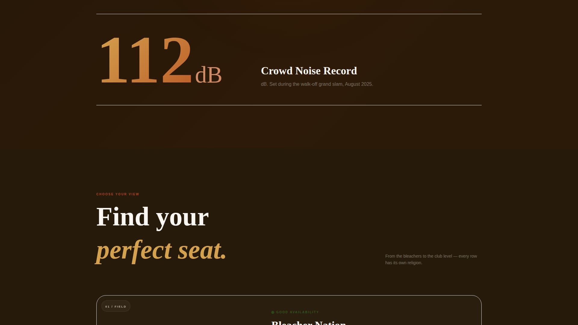 Diamond - Electric Stadium Landing Page Template