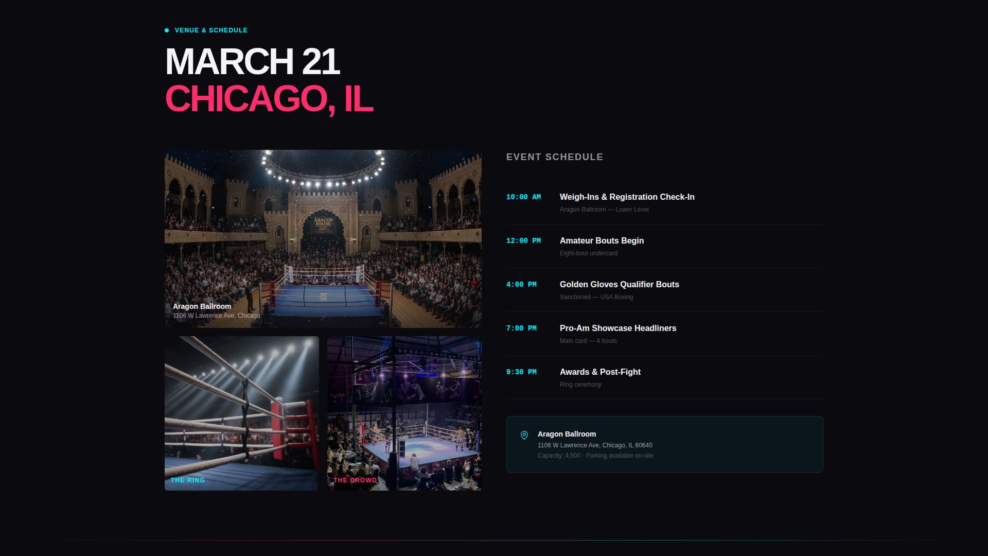 Boxing Specialist Professional Website Template