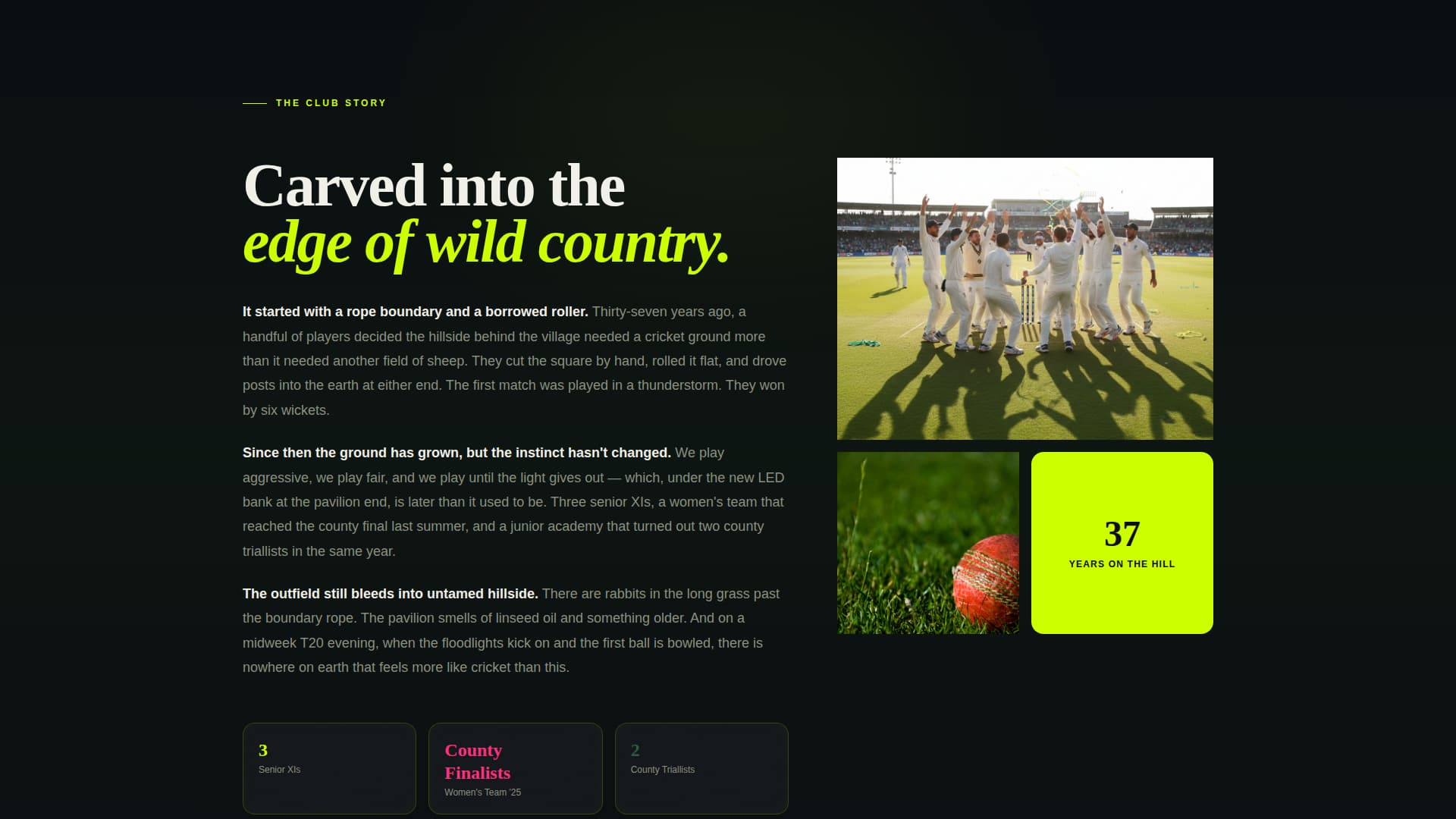 Cricket Booking Website Template