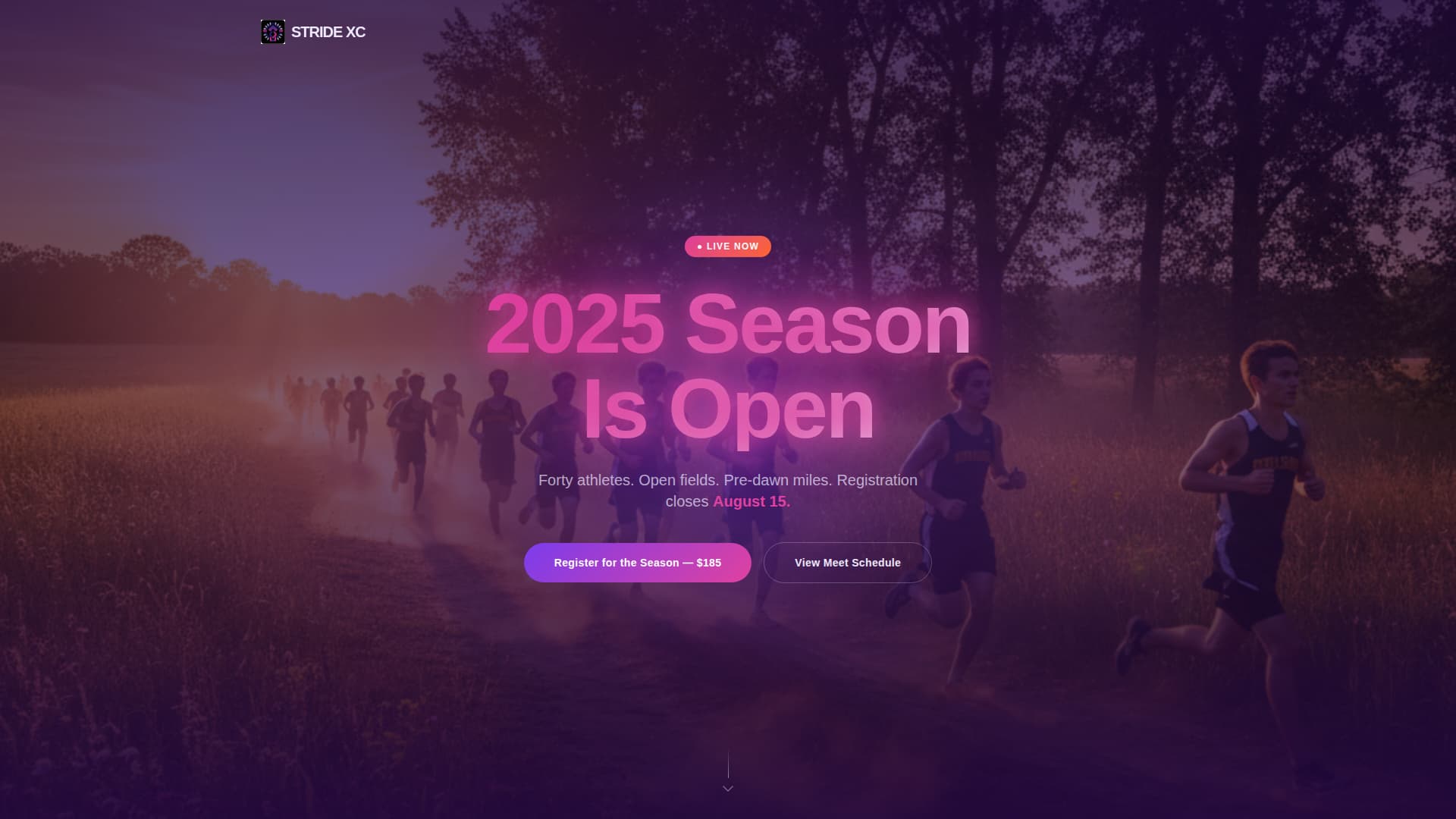 Peak — Championship Endurance Running Landing Page Template
