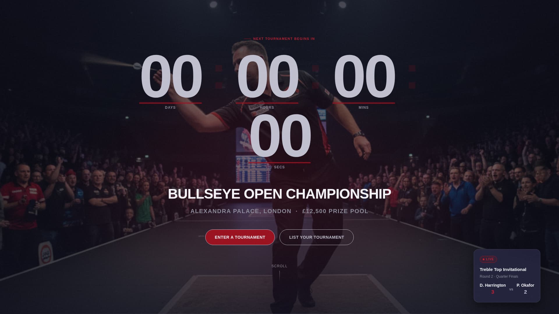 Darts Specialist Professional Website Template