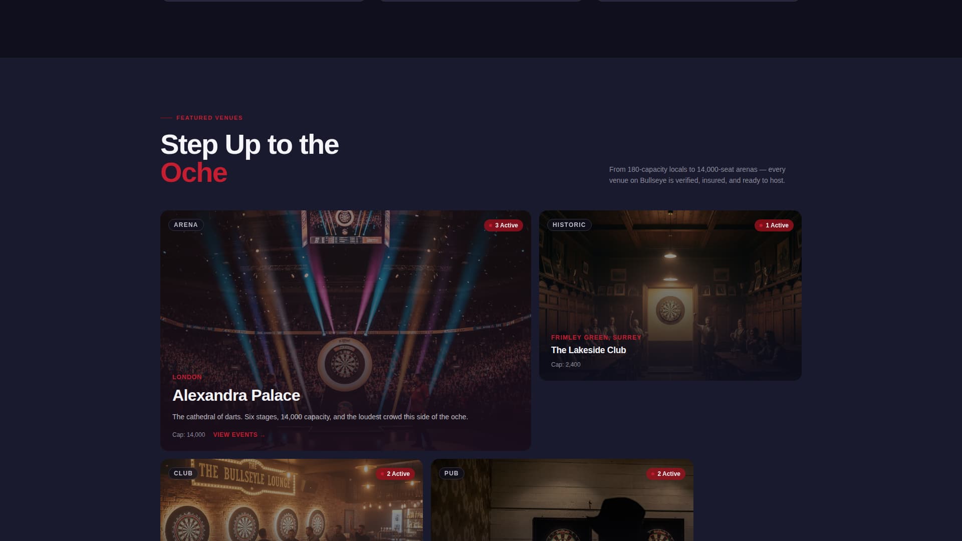 Darts Specialist Professional Website Template