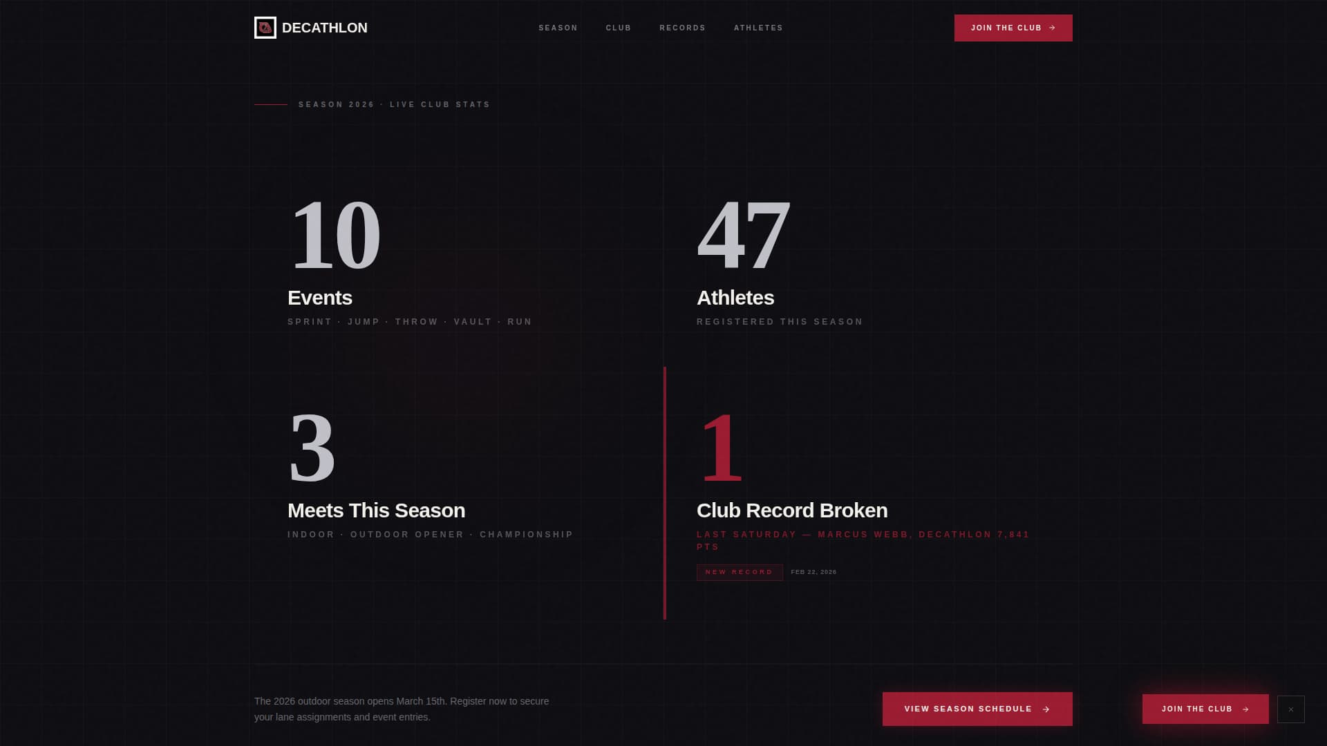 Decathlon Professional Website Template