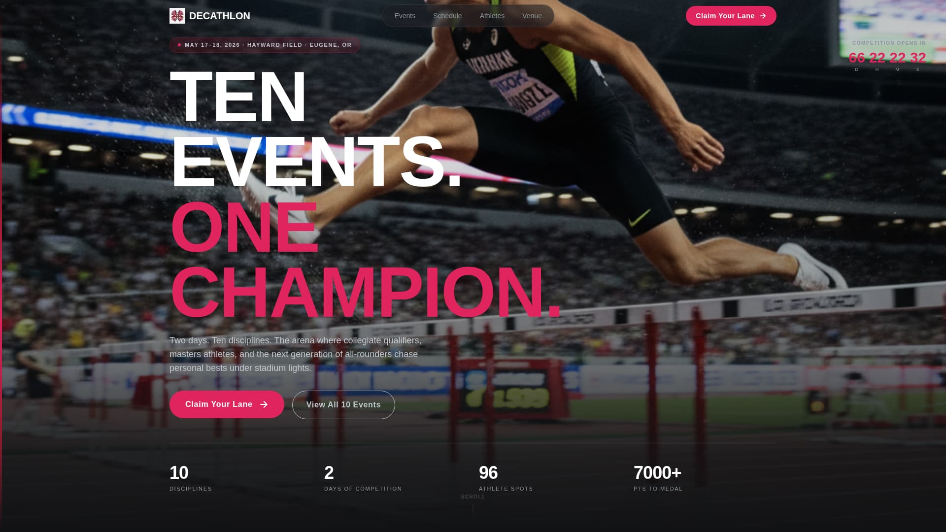 Decathlon Specialist Professional Website Template