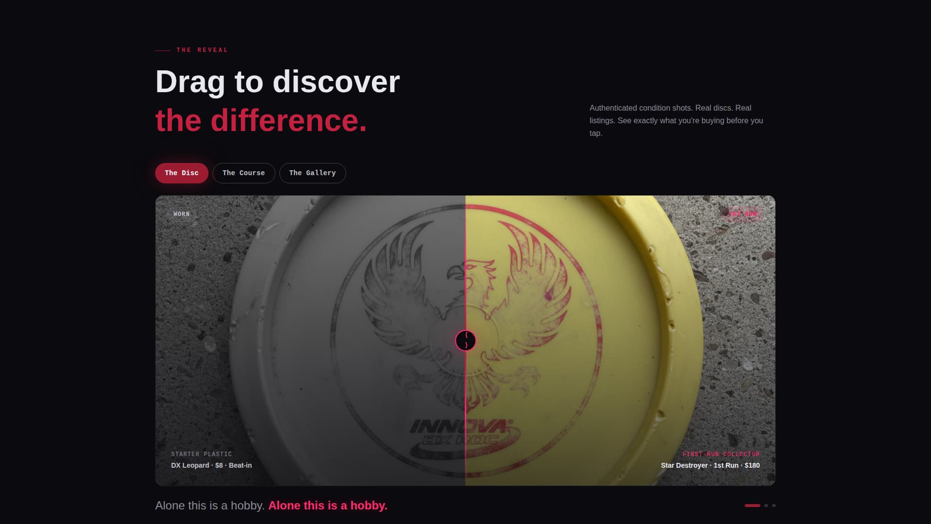 Disc Golf Professional Website Template