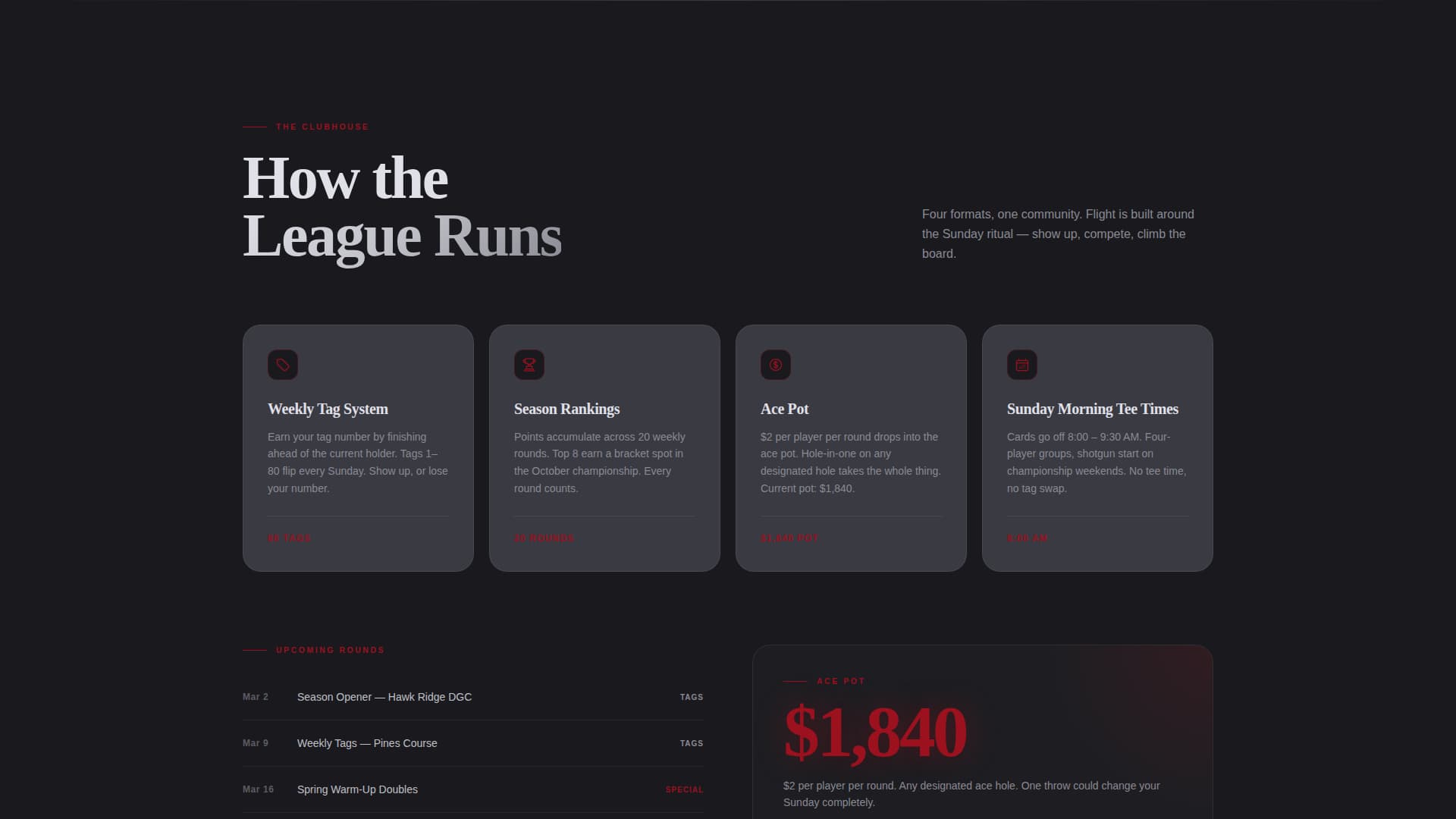 Disc Golf Specialist Professional Website Template