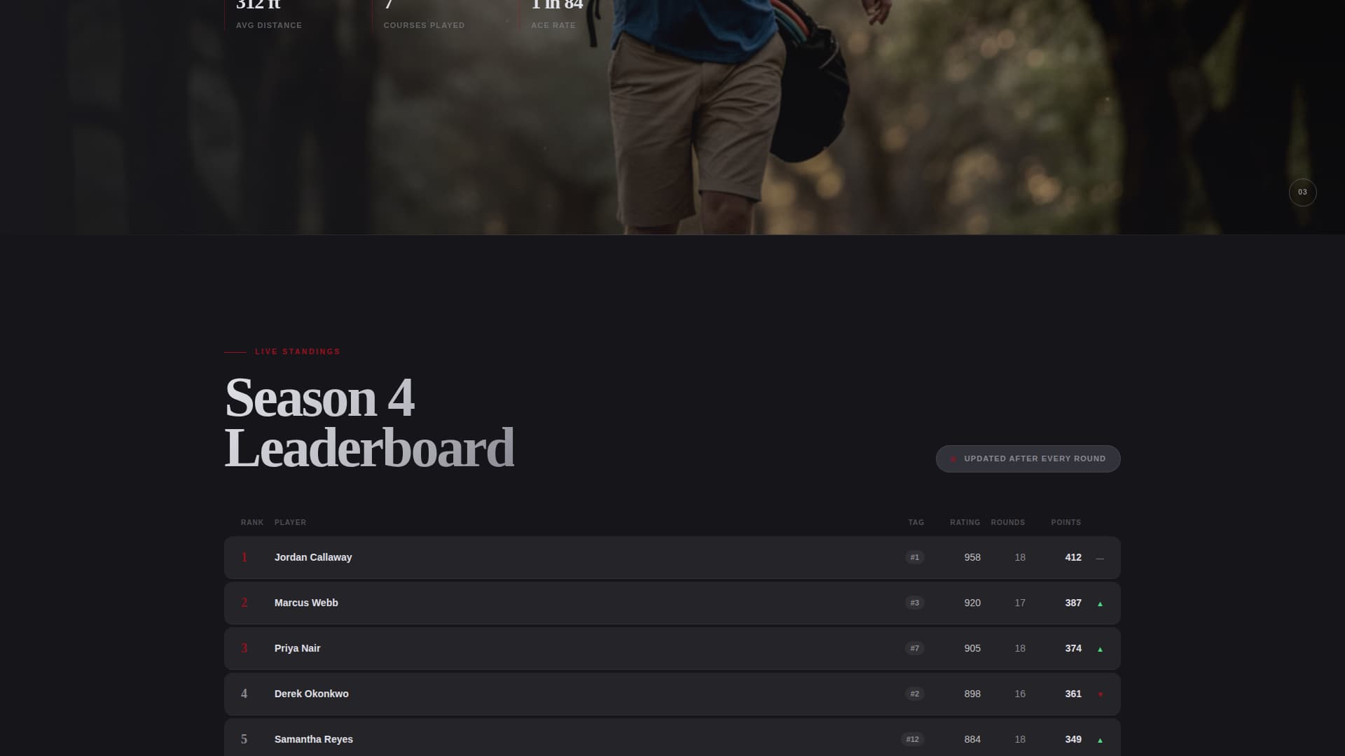 Disc Golf Specialist Professional Website Template