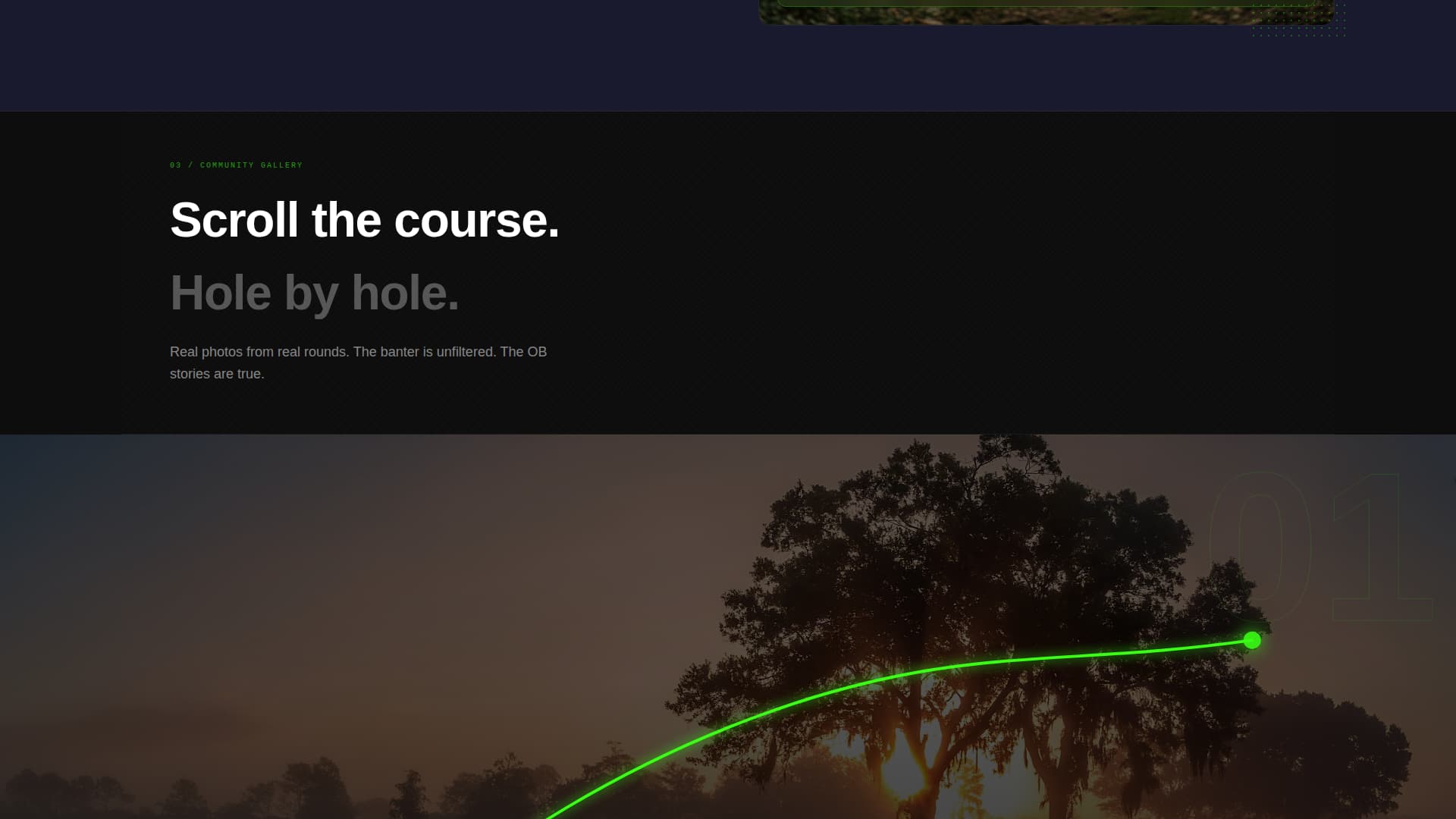 Disc Golf Advanced Professional Website Template