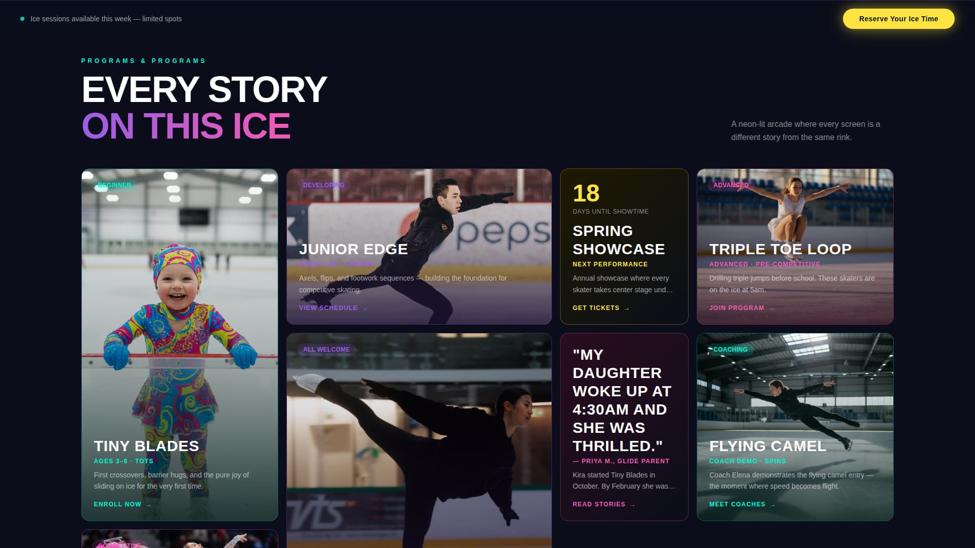 Skating & Winter Sports Booking Website Template