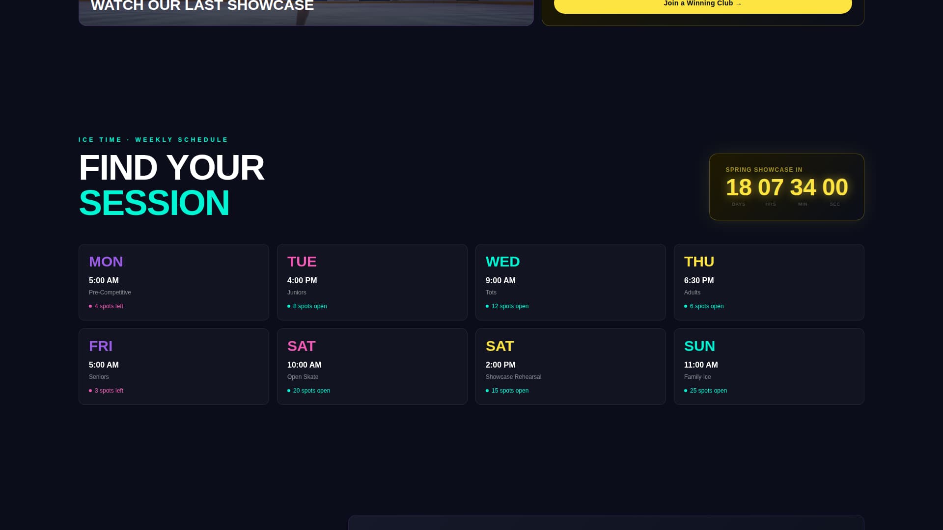 Skating & Winter Sports Booking Website Template