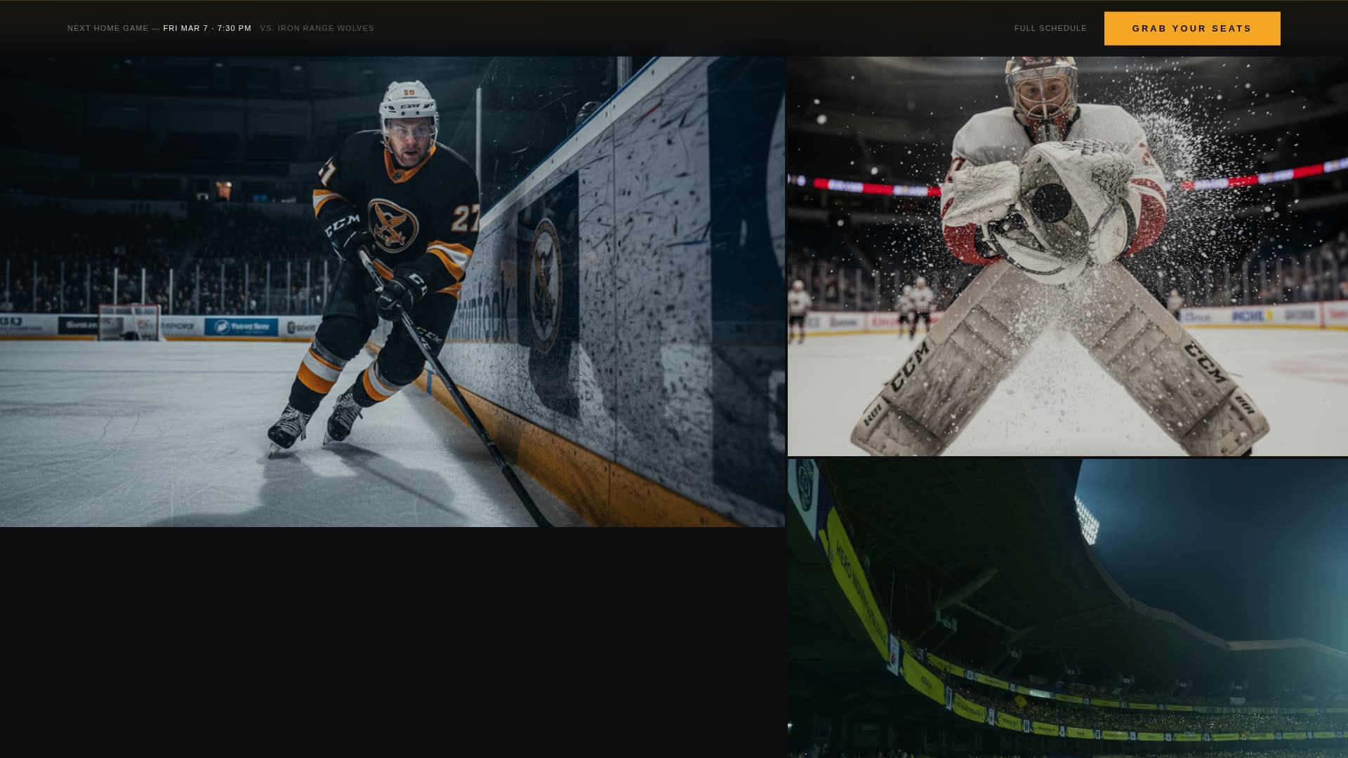 Sports Club & Team Specialist Professional Website Template