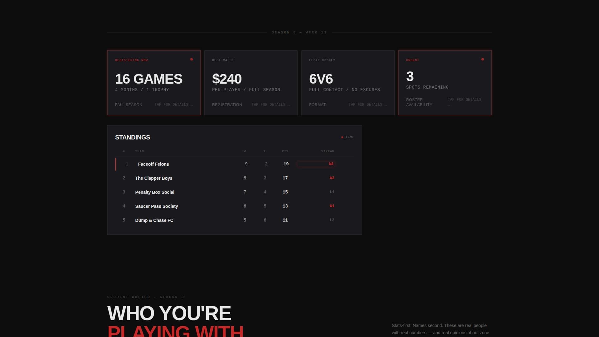 Ice Hockey Leagues Professional Website Template