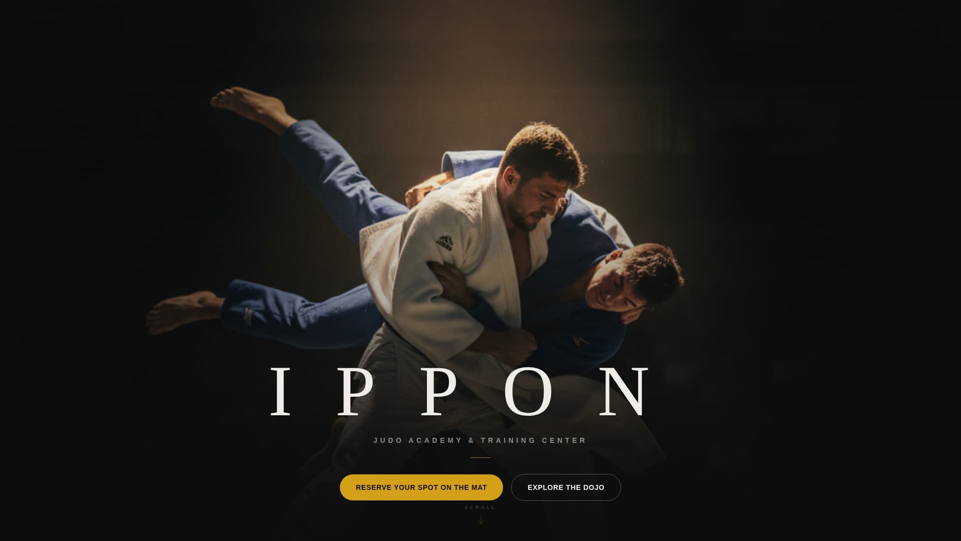 Judo Professional Website Template