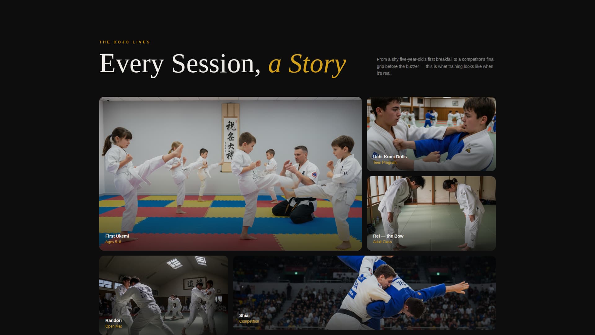 Judo Professional Website Template