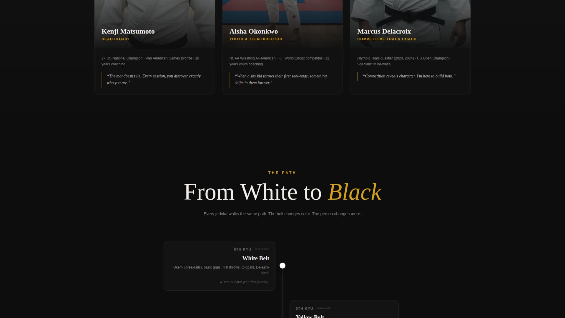 Judo Professional Website Template