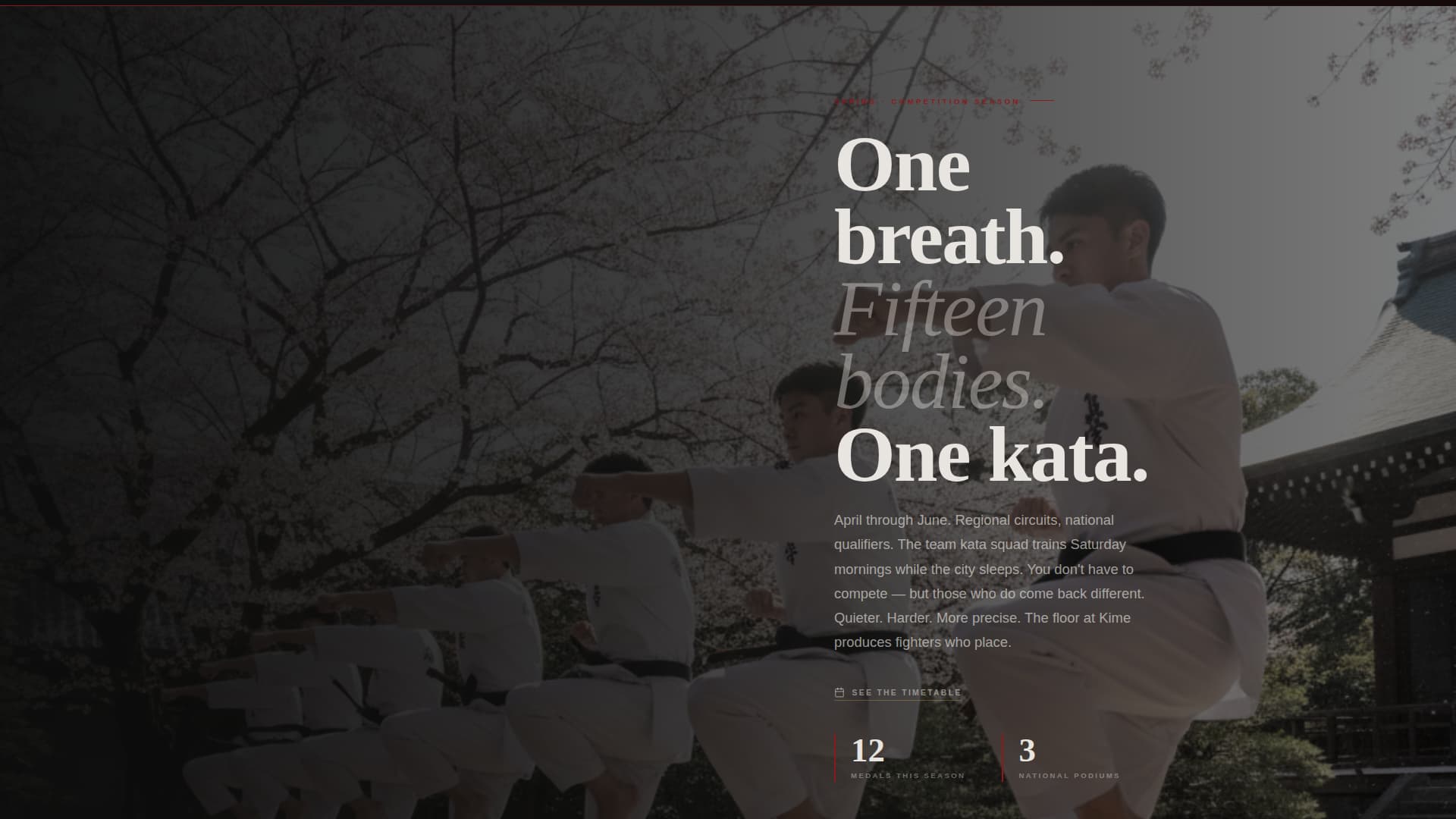 Kime - Immersive Karate Landing Page Template