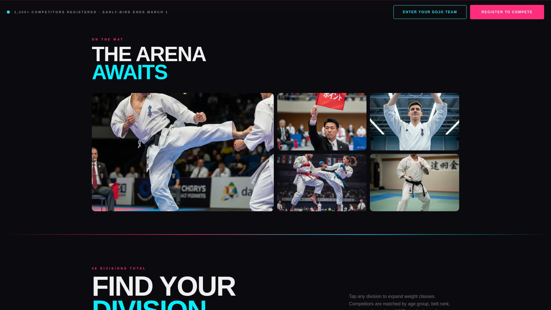 Kumite - Electric Karate Landing Page Template