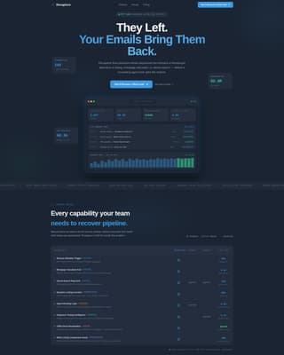 Real Estate Email Marketing Professional Website Template