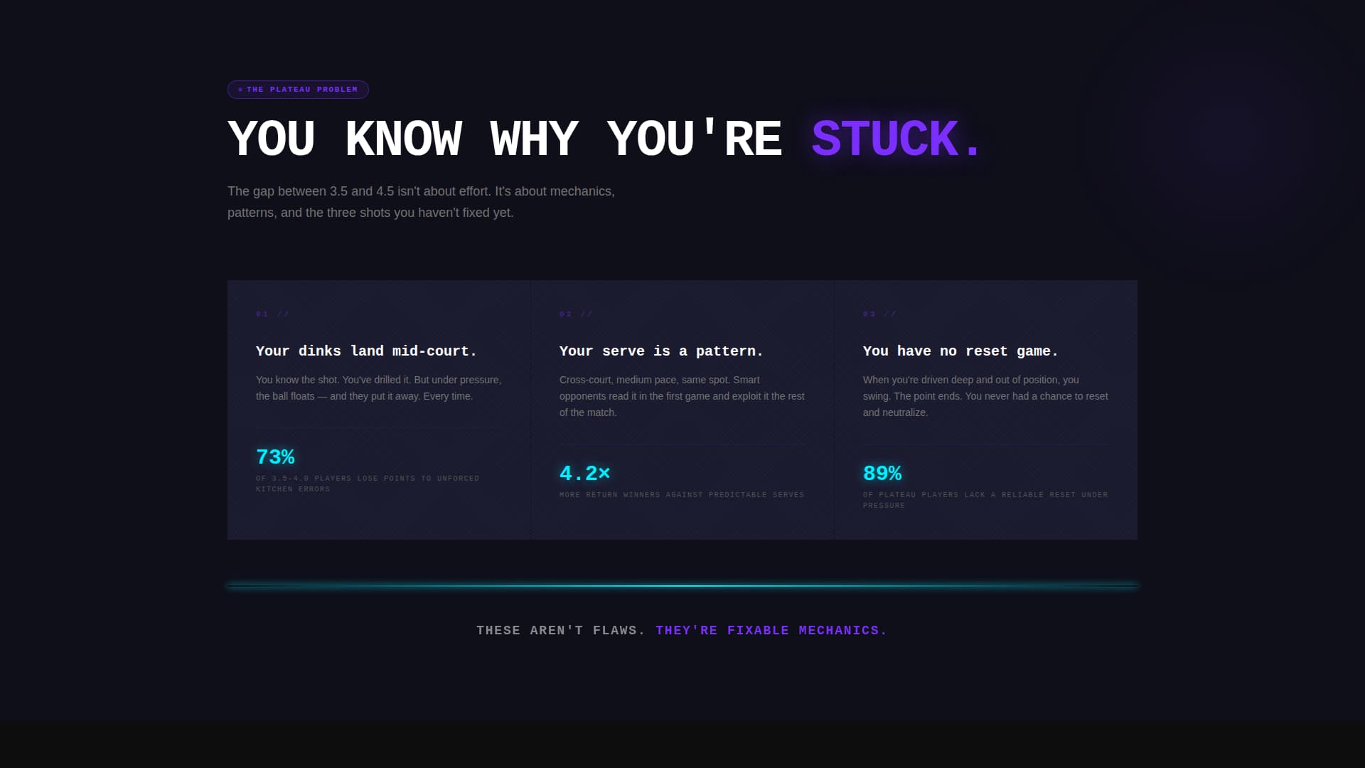 Dink - Elite Pickleball Landing Page Template