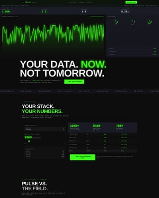 Pulse - Highperformance Analytics Landing Page Template