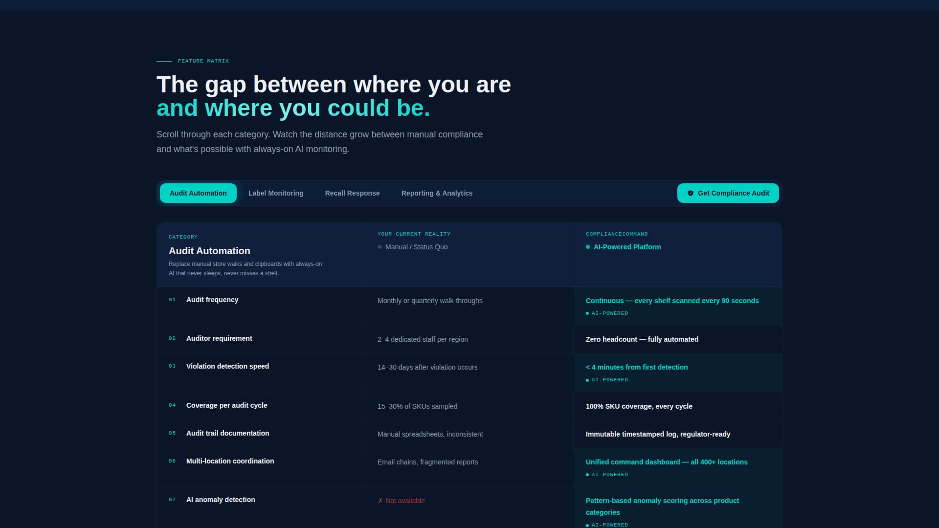 Audit — Governance Risk Landing Page Template