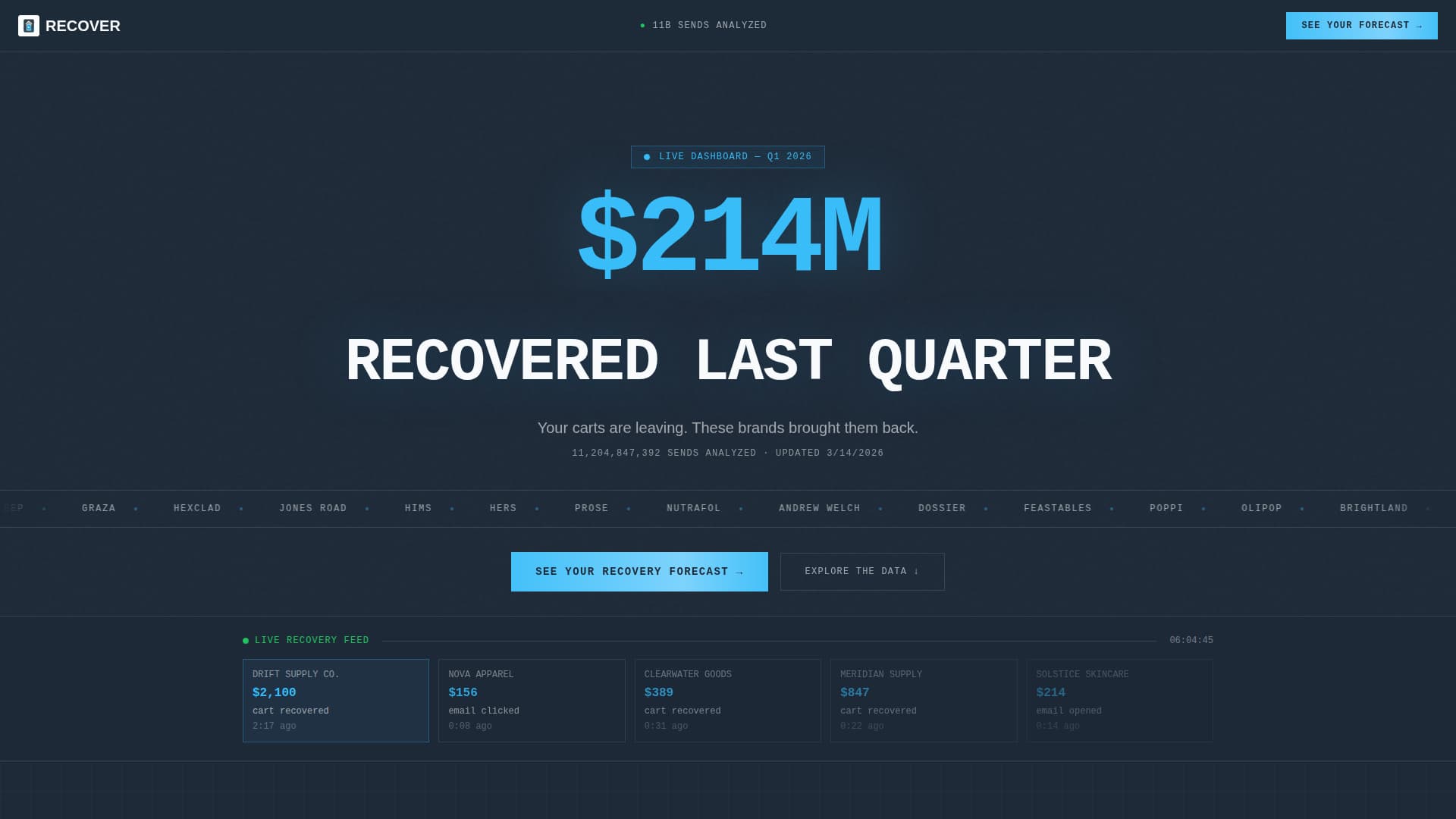Recover - Precision Cart Recovery Landing Page Template