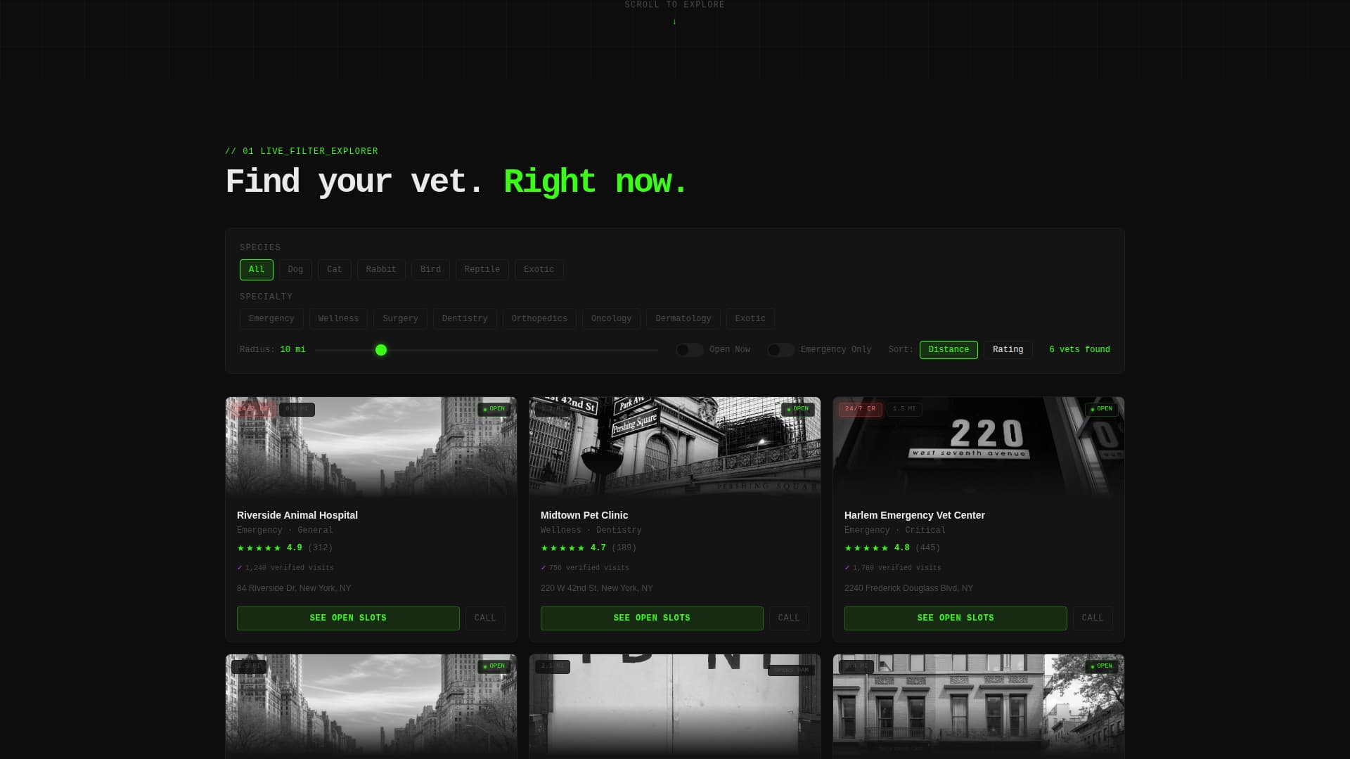 Fetch - Instant Veterinarianfinder Landing Page Template