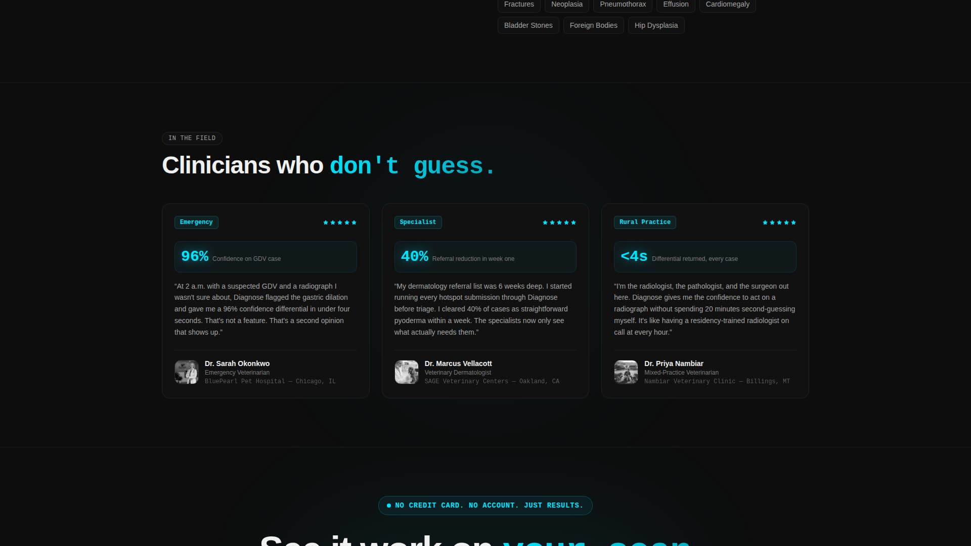 Diagnose - Instant Veterinary AI Landing Page Template