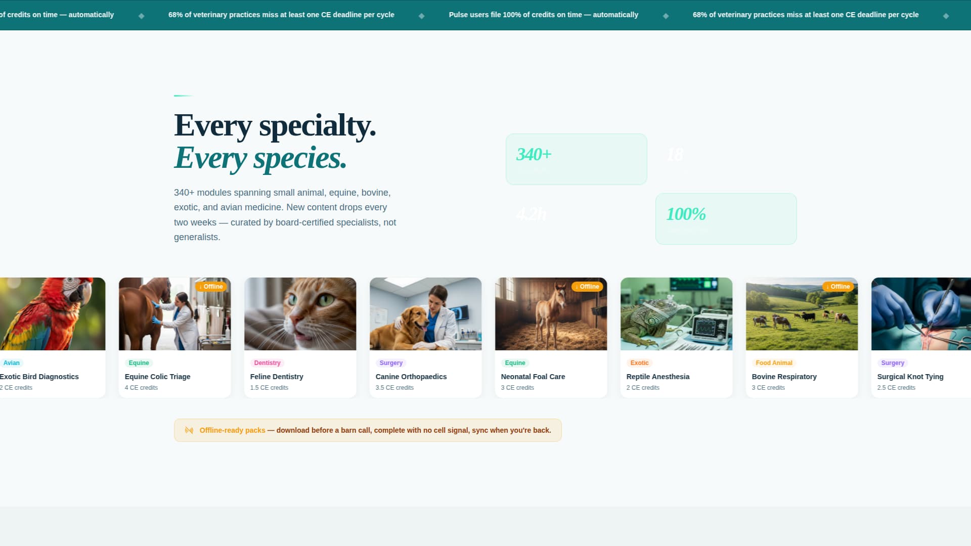 Pulse - Dynamic Veterinary Landing Page Template