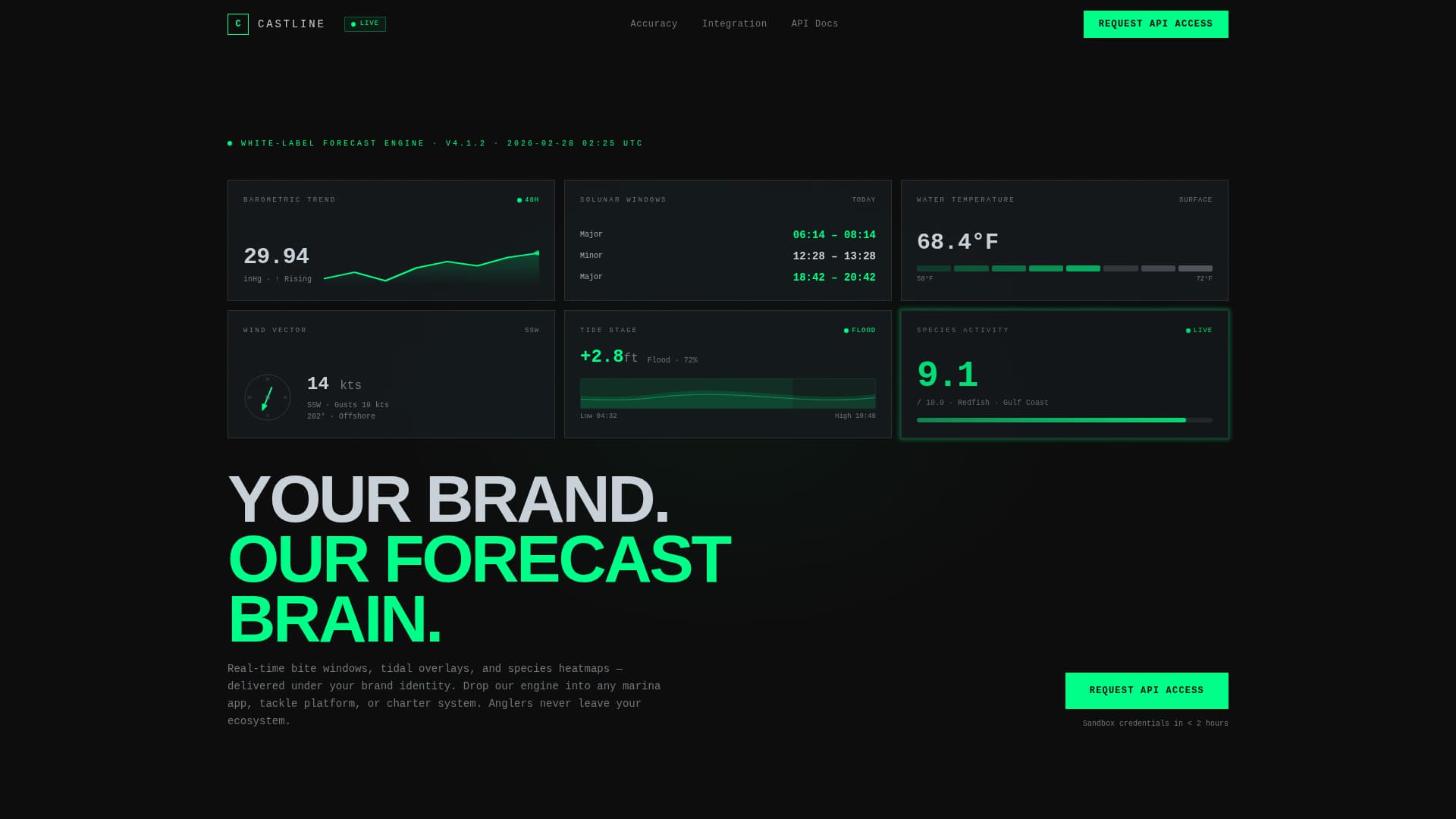 Castline - Precision Forecast Landing Page Template
