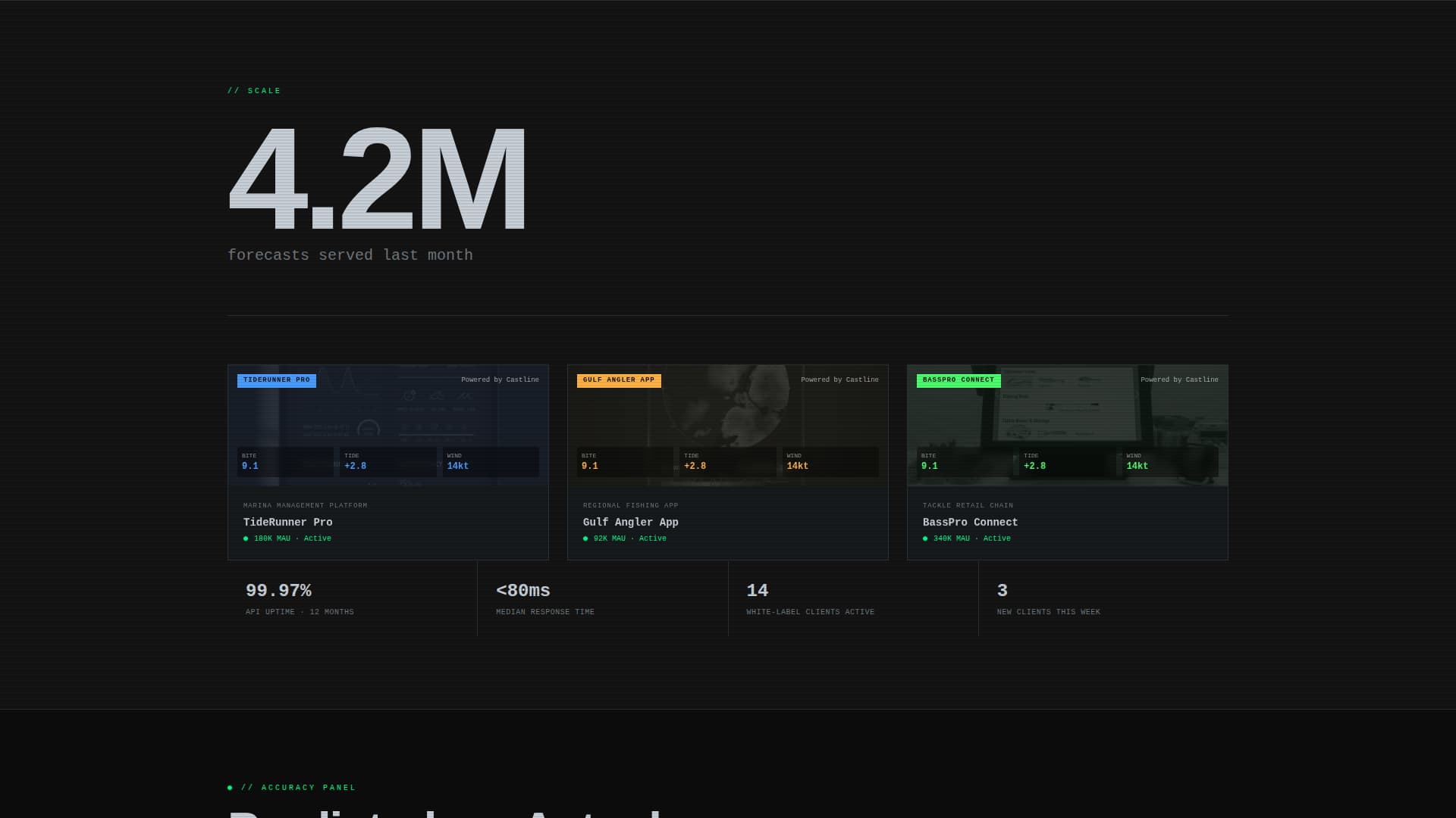 Castline - Precision Forecast Landing Page Template