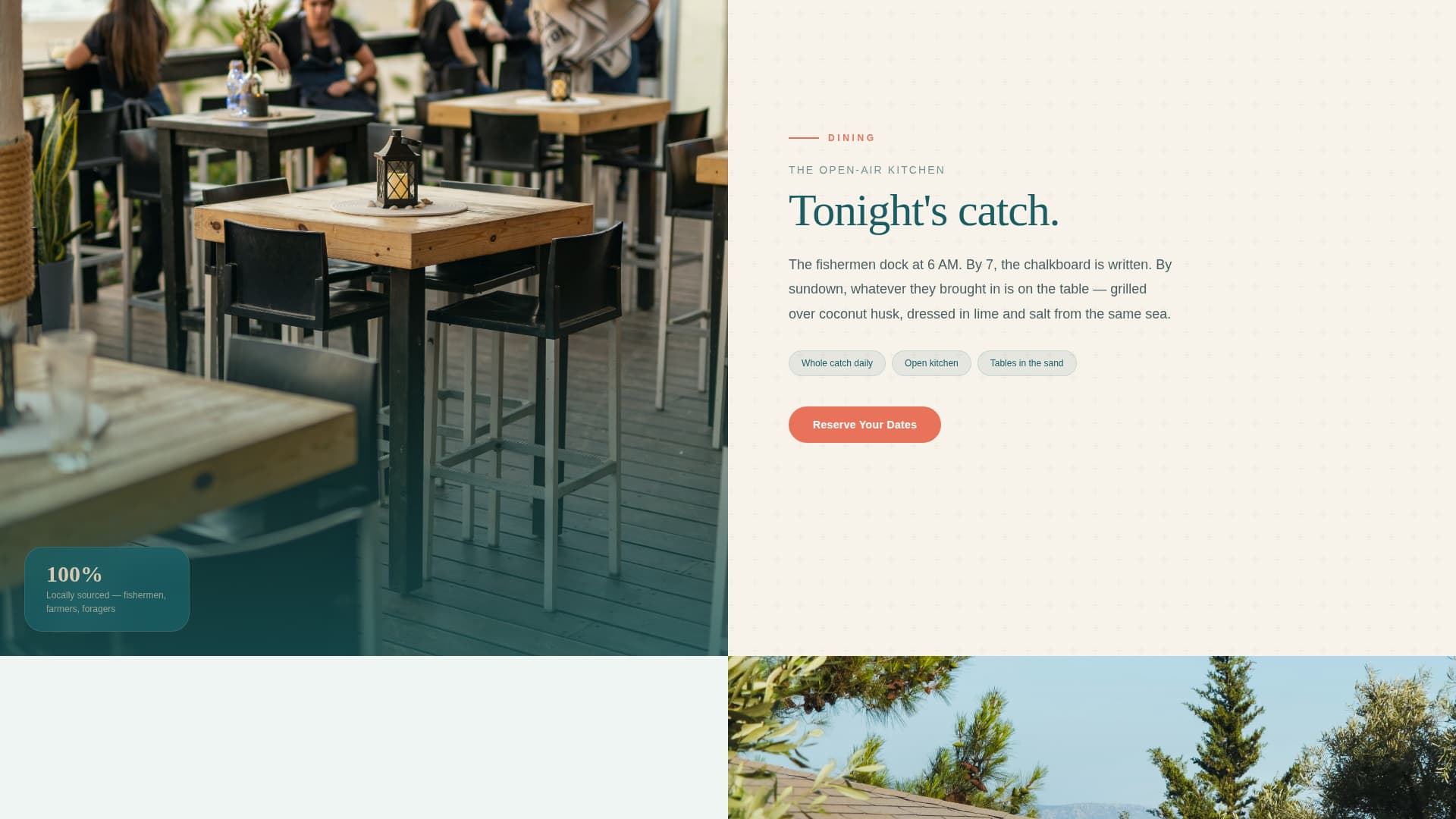 Shoreline - Serene Resort Landing Page Template