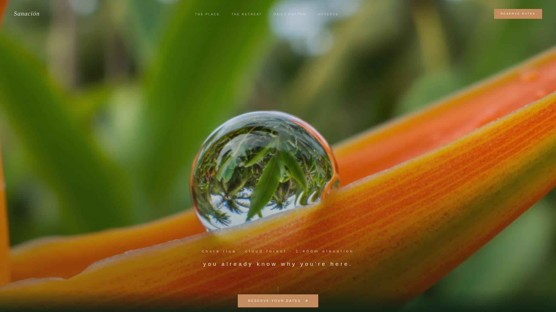 Sanacin - Immersive Wellness Landing Page Template