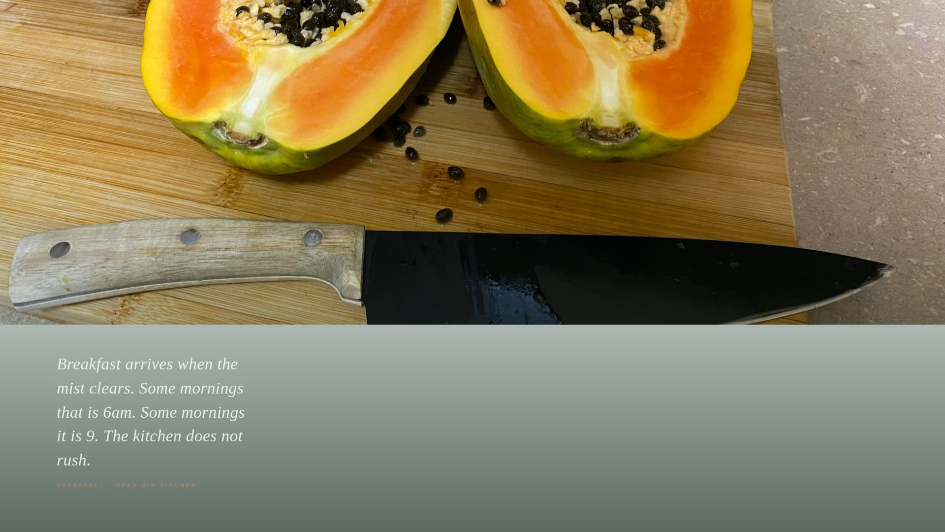 Sanacin - Immersive Wellness Landing Page Template