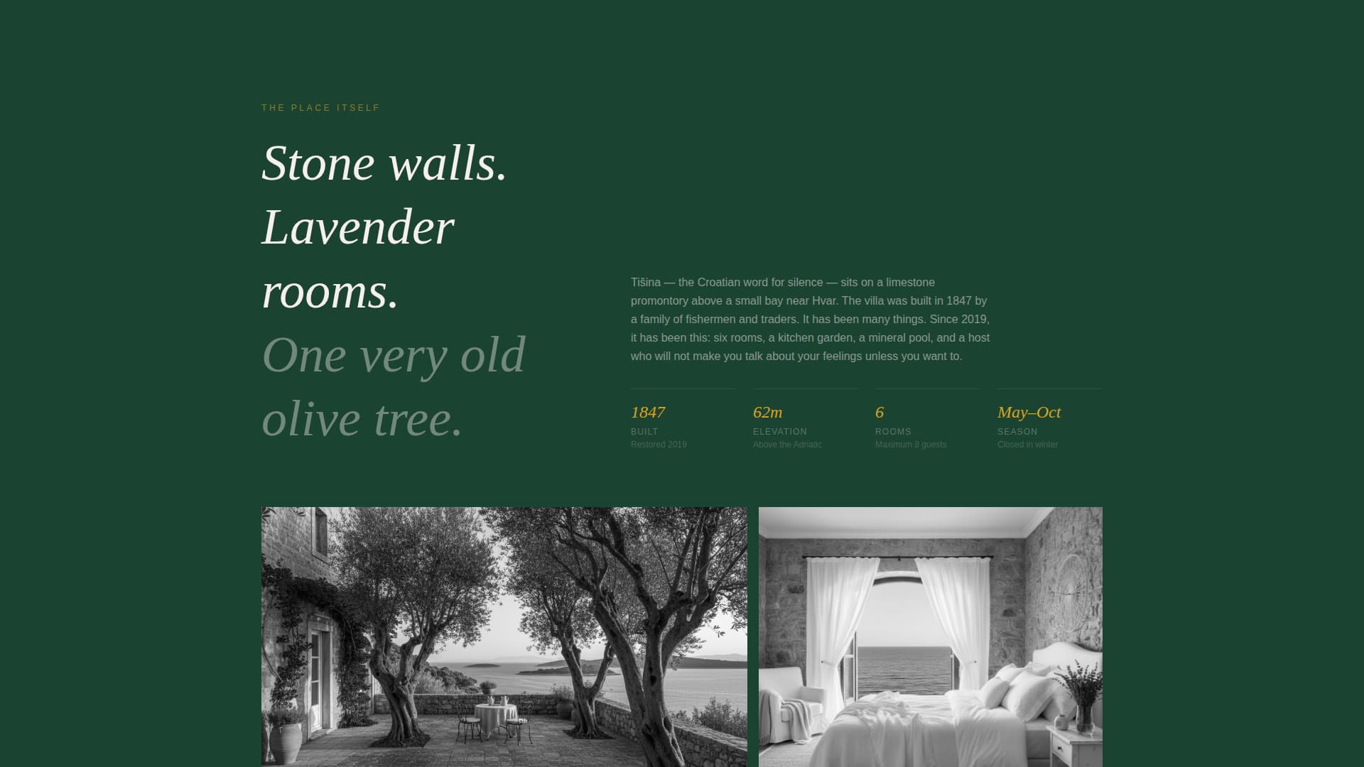 Tiina - Serene Wellness Landing Page Template