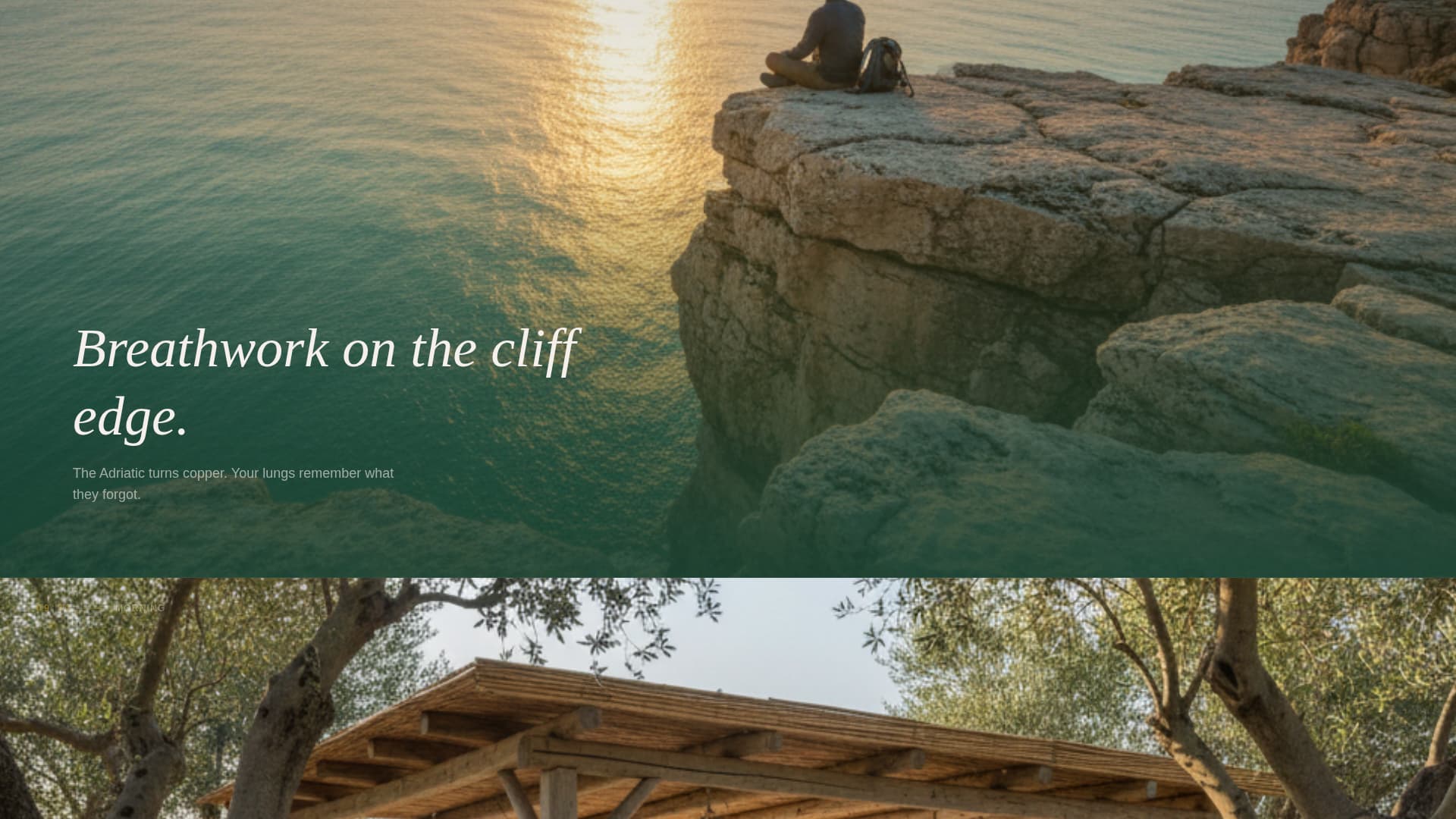 Tiina - Serene Wellness Landing Page Template