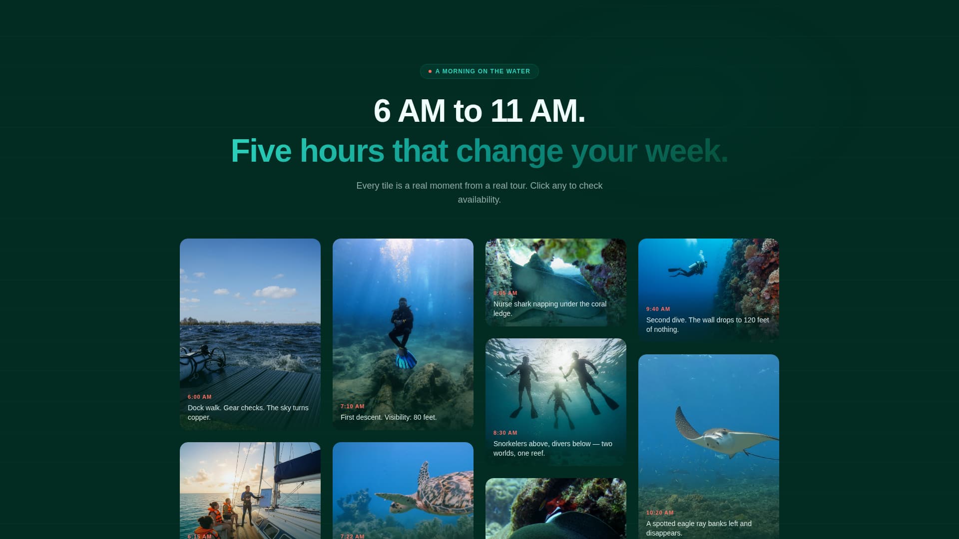 Fathom - Immersive Diving Landing Page Template