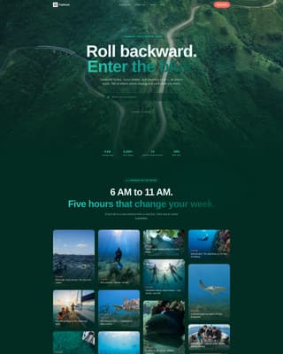 Caribbean Diving & Snorkelling Tour Operator Website Template