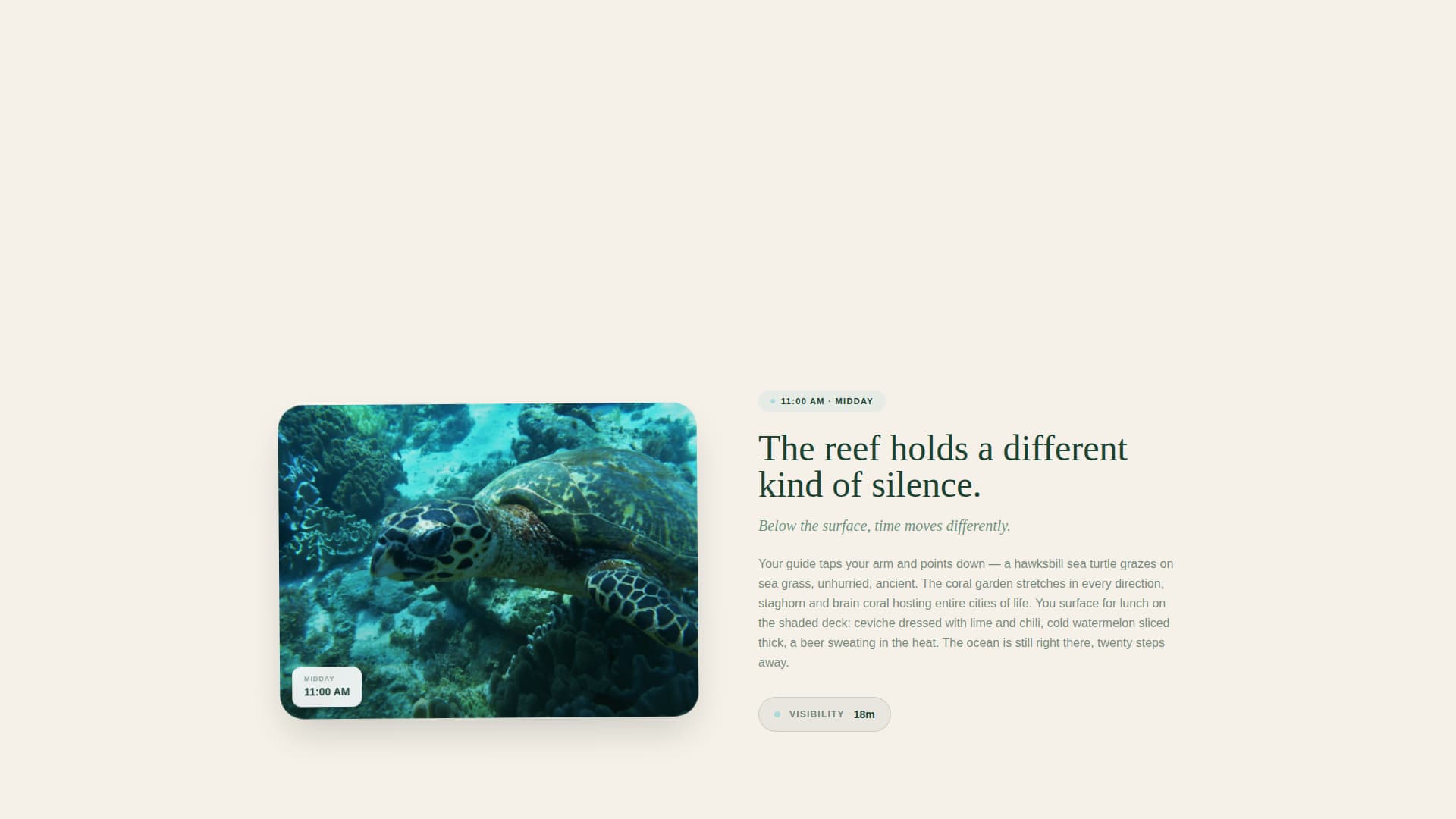 Tideline - Immersive Ecolodge Landing Page Template