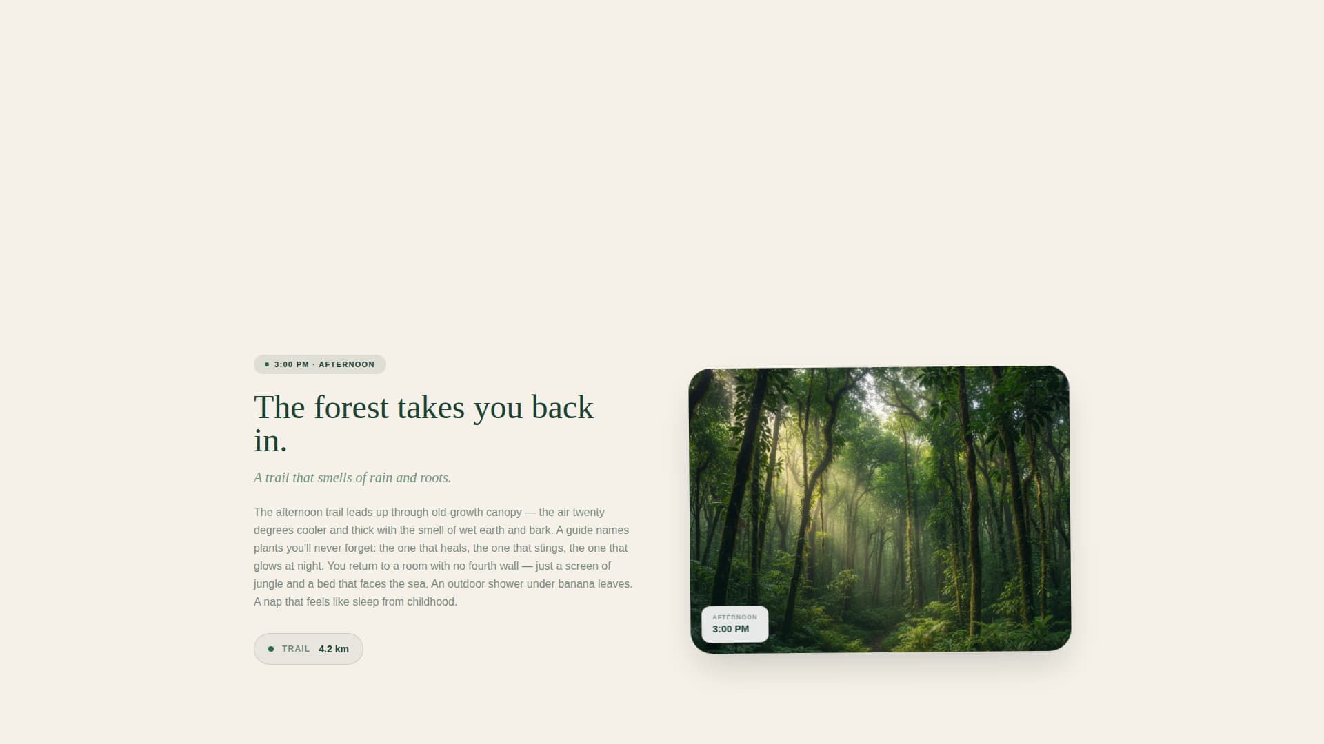 Tideline - Immersive Ecolodge Landing Page Template