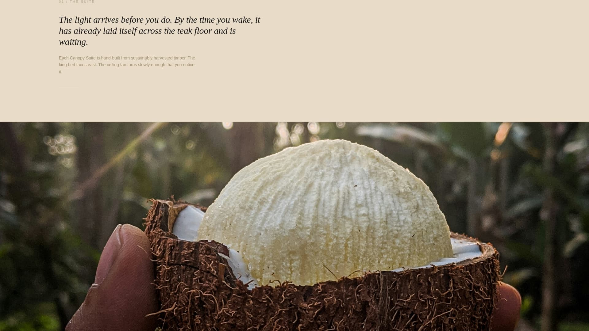 Canopy - Serene Ecolodge Landing Page Template