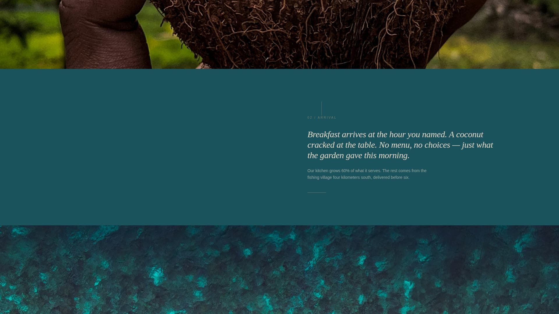Canopy - Serene Ecolodge Landing Page Template