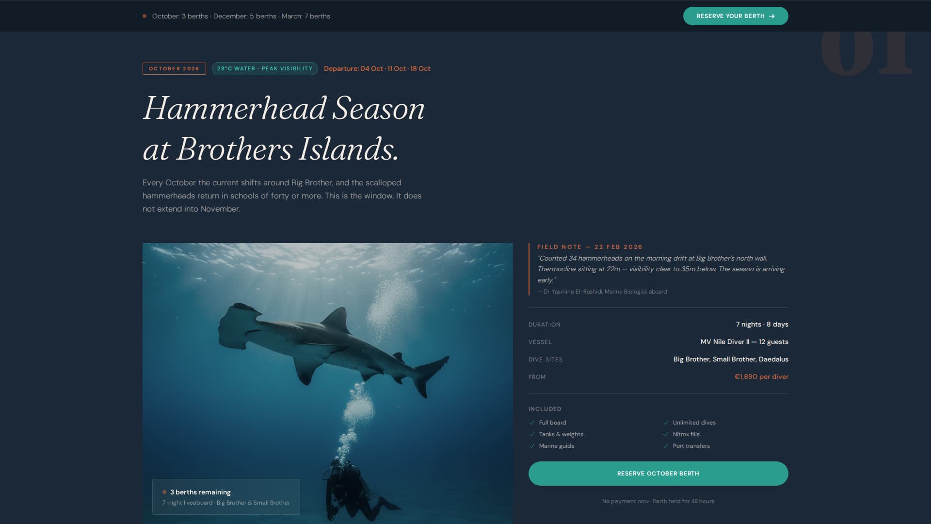 Voyage - Immersive Egypt Landing Page Template