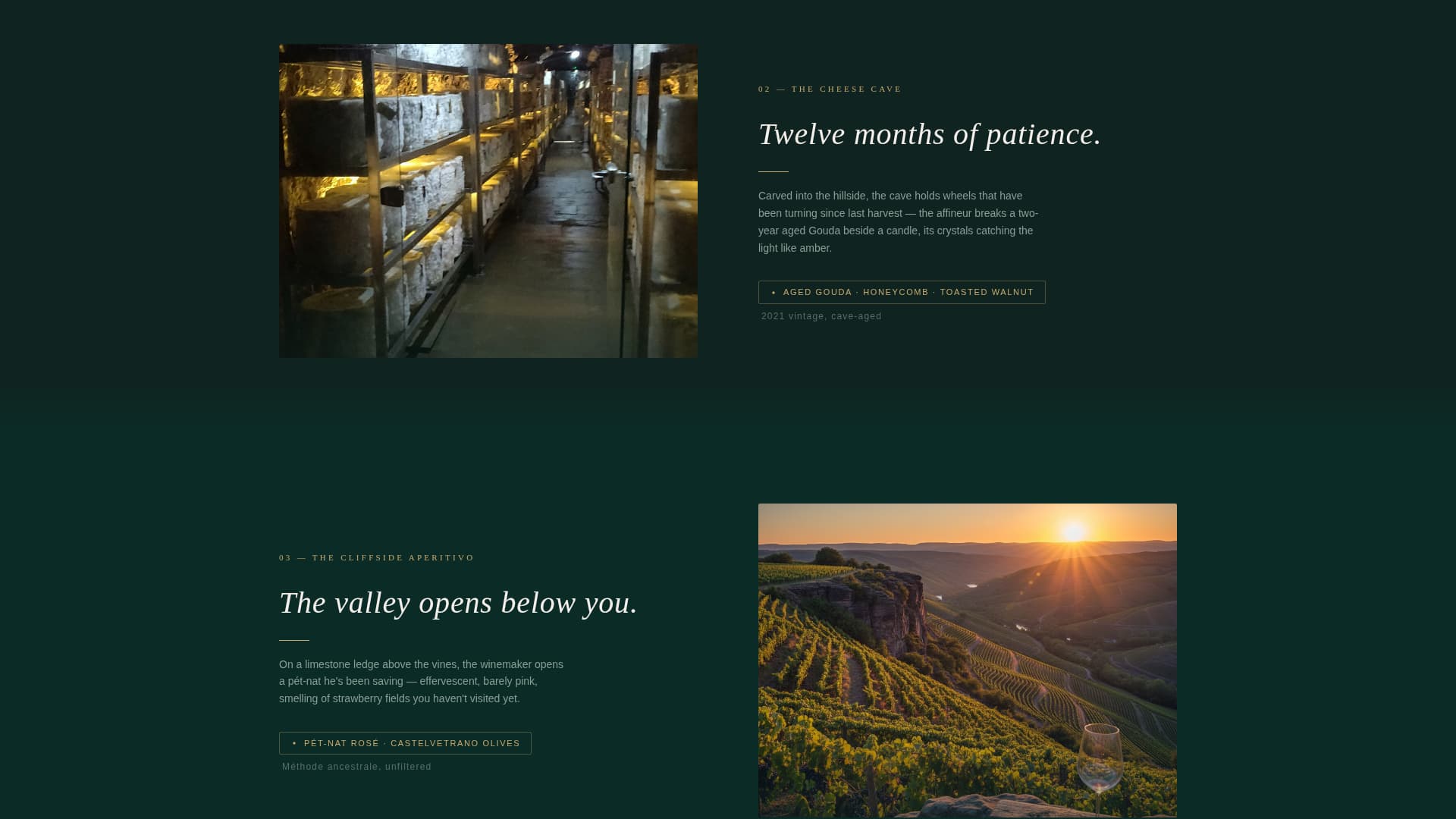 Savor - Immersive Foodandwine Landing Page Template